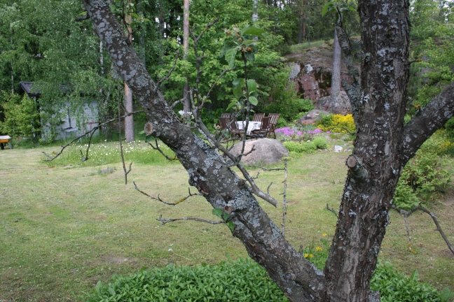 Det finns gott om utrymme i trädgården och ett spännande litet berg. Puutarhassa runsaasti tilaa ja jännittävä pieni kallio.